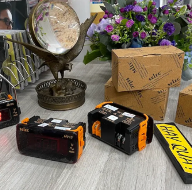 T15-19D Đồng hồ hiển thị điện thế AC thông dụng - Electrical Panel Meters - Selec Economical Voltmeter