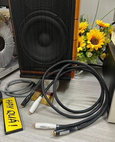 T11-05B Dây tín hiệu RCA Au - Gemany Lõi Solid Đồng Mạ Vàng - Thi công by DũngAudio 