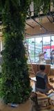  Amazone Coffee 