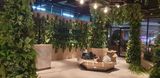  Amazone Coffee 