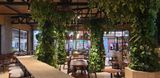  Amazone Coffee 