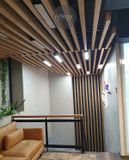  Riland Office 