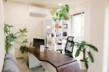  PROCARE-TRUONG THANH HAI 