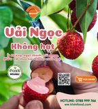  Vải Ngọc Không Hạt 