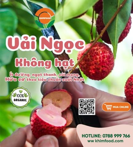sản phẩm nổi bật nhất