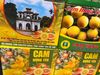  Cam Hưng Yên - Ngọt thơm đặc trưng, mọng nước 
