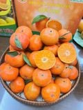  Cam đường canh Hưng Yên - Ngọt thơm đậm vị 