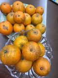 Cam Hưng Yên - Ngọt thơm đặc trưng, mọng nước 