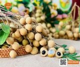 Nhãn Cùi Cổ 