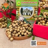  Nhãn Cùi Cổ 