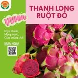  Thanh Long Ruột Đỏ Chuẩn VietGAP 