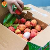  Vải Trứng Hưng Yên 