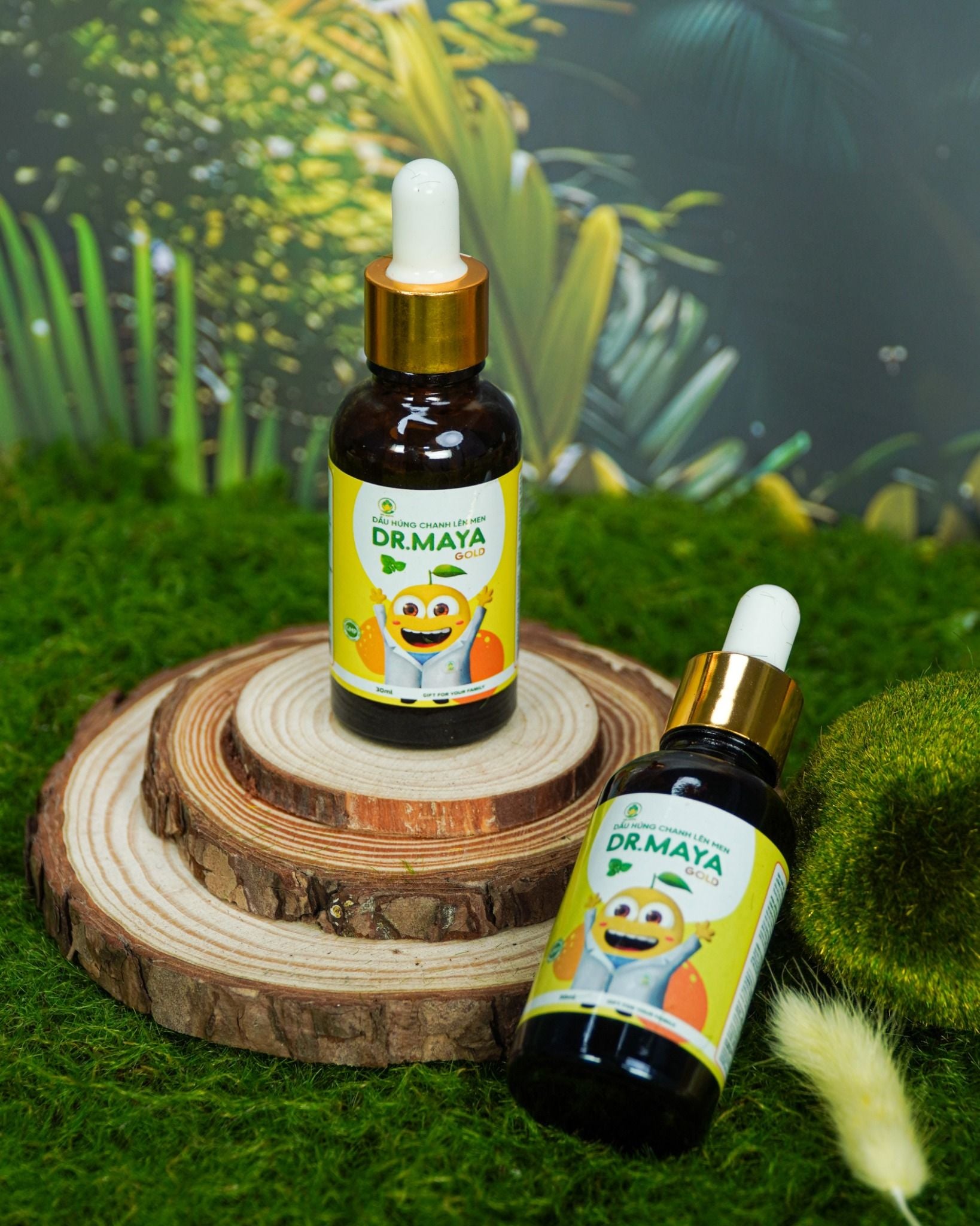  Dầu Húng Chanh Lên Men Dr.Maya Gold 