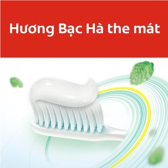 Diệu Linh Gia Dung Thong Minh Hot Trend