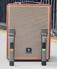 Loa kèm 2 mic POLZ P18