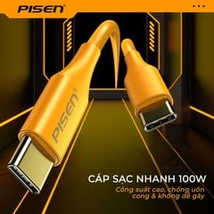 Bộ sạc Type C Pisen Pro CC1200 1U 2C 65W