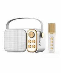 ** Loa Bluetooth YS103/104