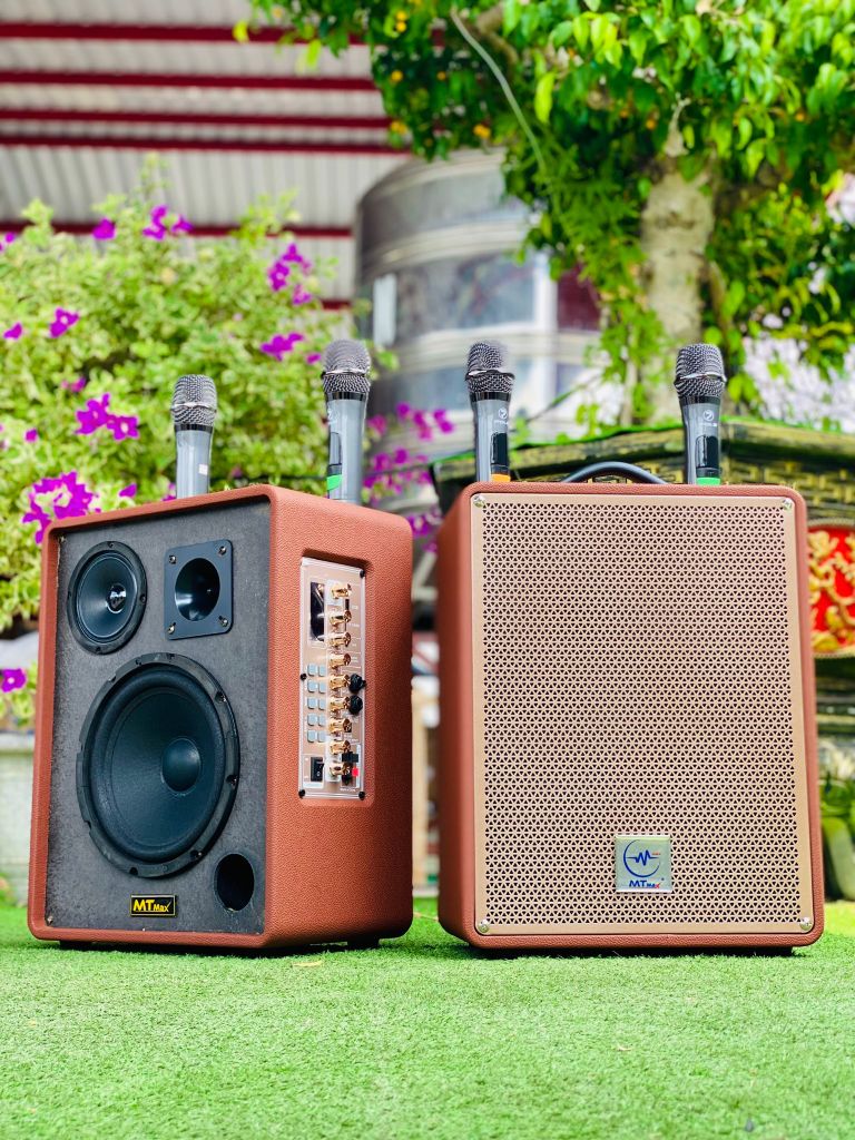 Loa kèm 2 mic POLZ P18