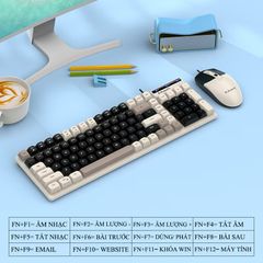 CB dây K-Snake KM100