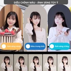 Bộ đèn cầu chụp Studio MW400s (Chân 8809)