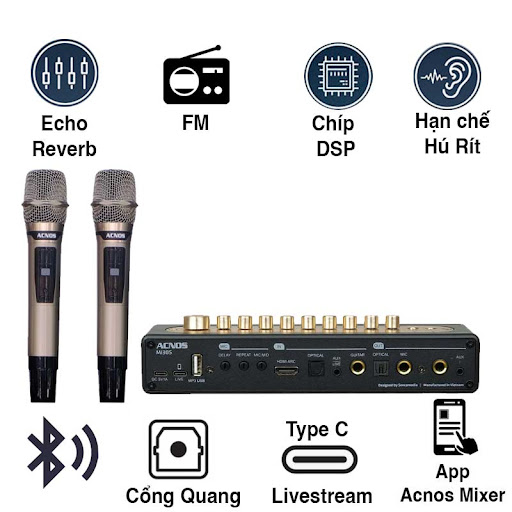 Vang số kèm 2 mic Acnos MI30S V2