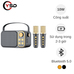 ** Loa kèm 2 mic YS105/YS106