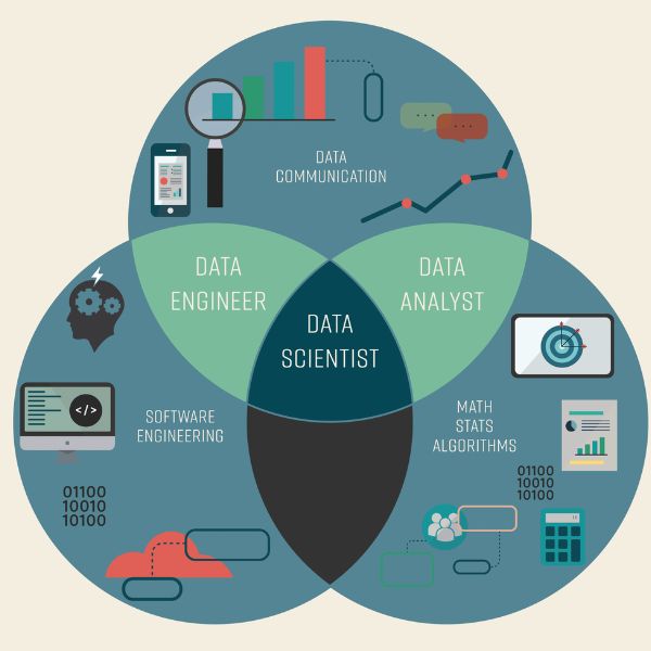 Data Analyst (Phân tích dữ liệu)