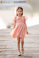 Irina Dress màu Hồng 22
