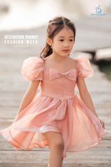 Irina Dress màu Hồng 22
