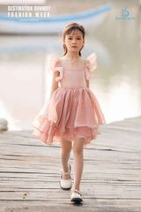 Vasilisa Dress màu Hồng 22