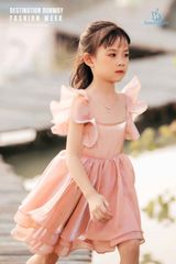 Vasilisa Dress màu Hồng 22