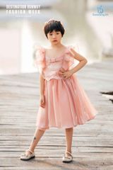 Aliana Dress màu Hồng 22