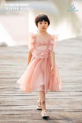 Aliana Dress màu Hồng 22