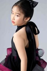 Tuệ Đan Dress
