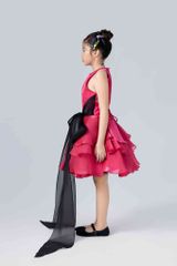 Hồng Thy Dress