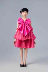 Hồng Anh Dress