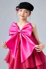 Hồng Anh Dress