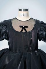 Akira Dress 23