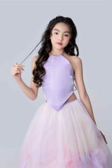 Hồ Điệp Dress