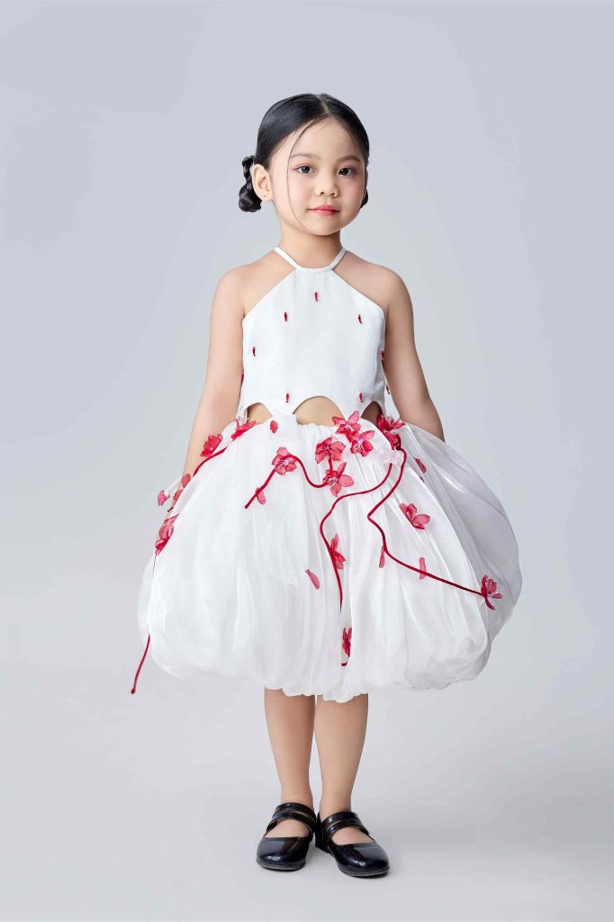 Hoài Cầm Dress