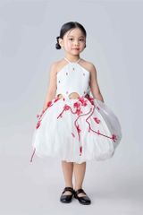 Hoài Cầm Dress