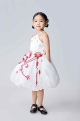 Hoài Cầm Dress