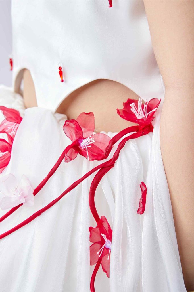 Hoài Cầm Dress