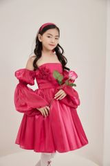 Sarang Dress