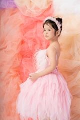 Vũ Phấn