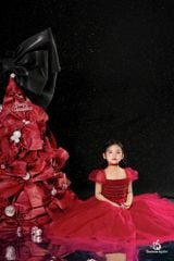 HỒNG QUANG DRESS