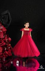 HỒNG QUANG DRESS