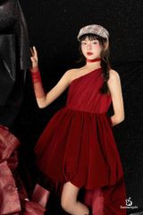 HỒNG TY DRESS