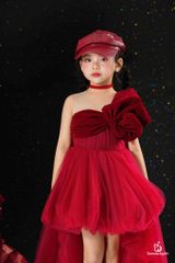 HỒNG TINH DRESS