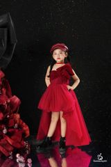HỒNG TINH DRESS